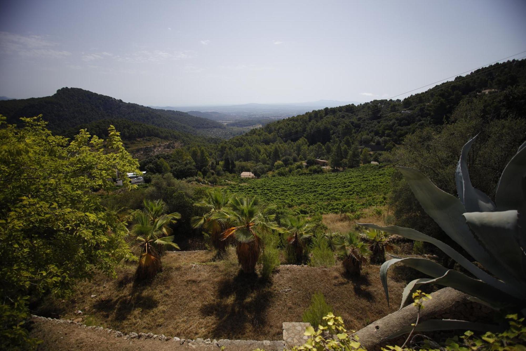 Posada Del Marques اسبورليس المظهر الخارجي الصورة